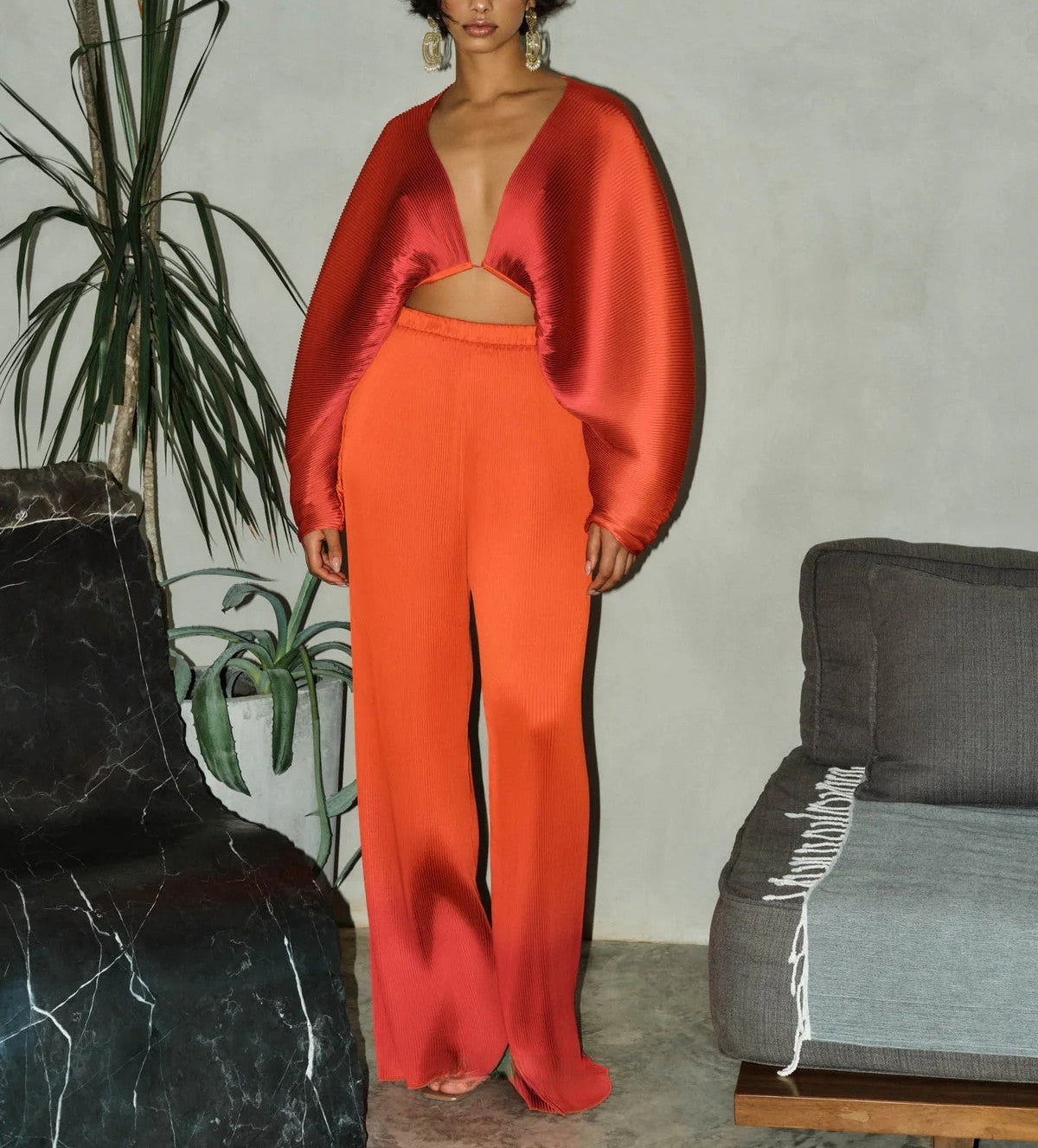 Crop Top and Pleated Pants 2-piece set