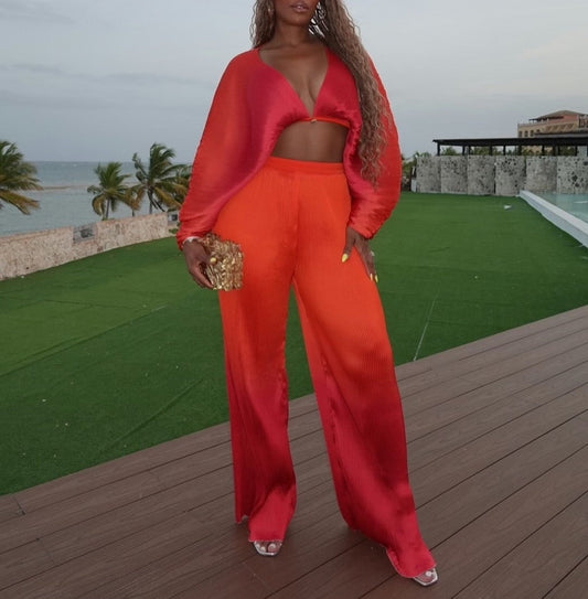 Crop Top and Pleated Pants 2-piece set